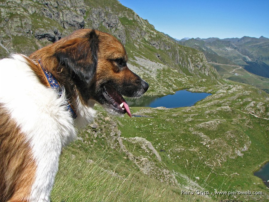 laghiponteranicaraffi 077.jpg - Incontriamo l'amico  "MeteoRega" col suo bellissimo "Briki